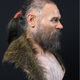 Facial reconstruction of the Kanaljorden skull.